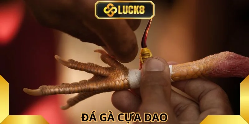 ca-do-da-ga-luck8-cua-dao-sieu-dinh