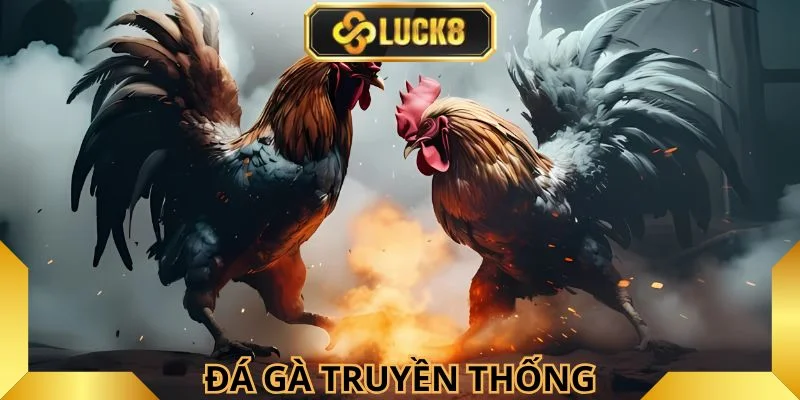 hinh-thuc-da-ga-luck8-truyen-thong-cuc-cuon