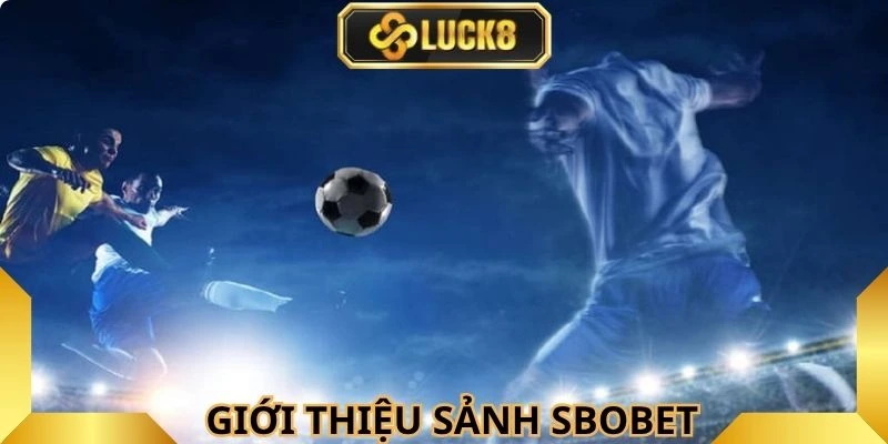 sbobet-luck8-thu-hut-dong-dao-thanh-vien-trai-nghiem