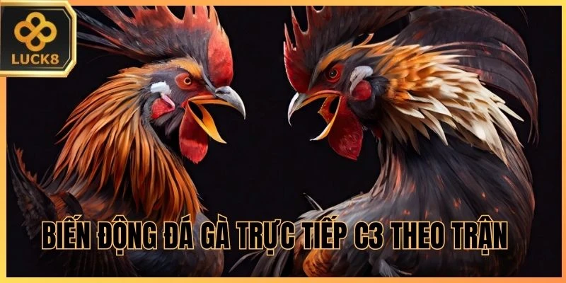 Biến động Đá Gà trực tiếp C3 theo trận