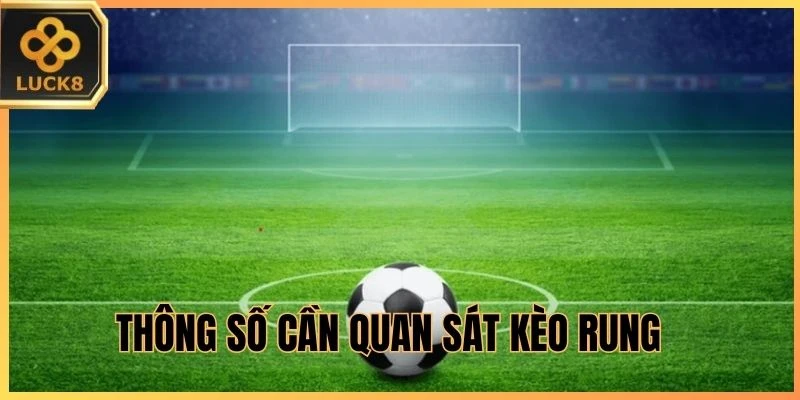 Thông số cần quan sát kèo rung