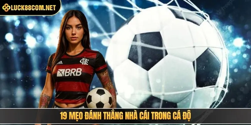 19 mẹo đánh thắng nhà cái trong cá độ rất cần thiết