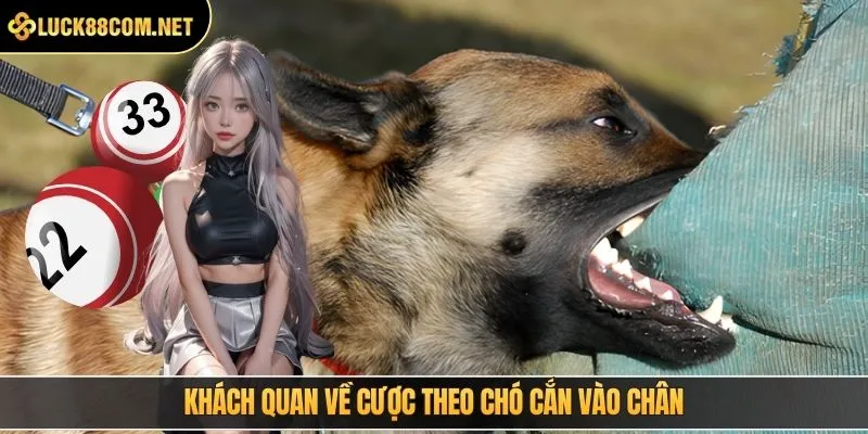 Khách quan về cược theo chó cắn vào chân