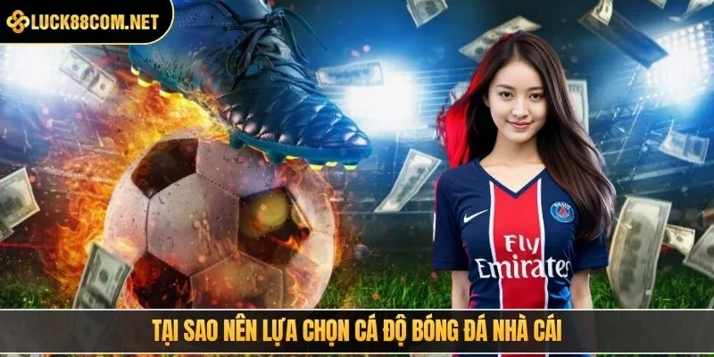 Tại sao nên lựa chọn cá độ bóng đá nhà cái